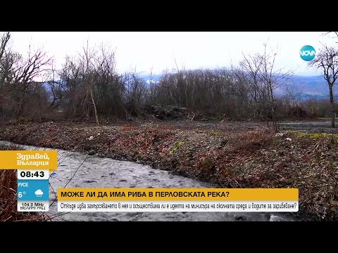 Видео: Риба в Перловската река - екзотика или осъществима идея - Здравей, България (25.03.2024)