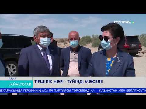 Видео: ТІРШІЛІК НӘРІ - ТҮЙІНДІ МӘСЕЛЕ