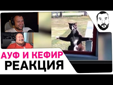 Видео: Дезертод РЖЖЁТ ?! - АУФ и Кефир