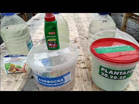 Видео: КАКОЕ УДОБРЕНИЕ ЛУЧШЕ? ФЕРТИКА КРИСТАЛОН! ПЛАНТАФОЛ! АЗОФОСКА+БОНЕ ФОРТЕ!