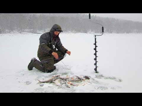 Видео: ОНИ НЕ ЛЕЗУТ В ЛУНКУ!!! ПОПАЛ НА ЖОР ПЕРВОГО ЛЬДА!!! ЗИМНЯЯ РЫБАЛКА