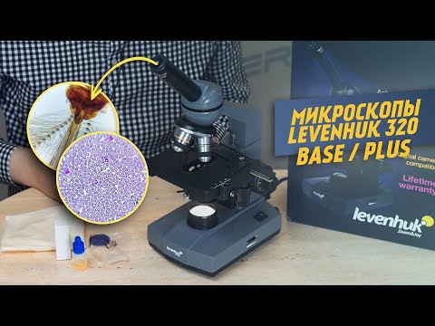 Видео: Световой микроскоп Levenhuk 320 BASE | PLUS | ОБЗОР