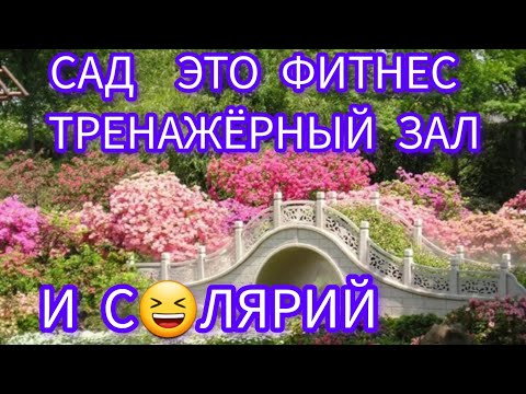 Видео: САД, ЛЮБИМЫЙ САД.💕