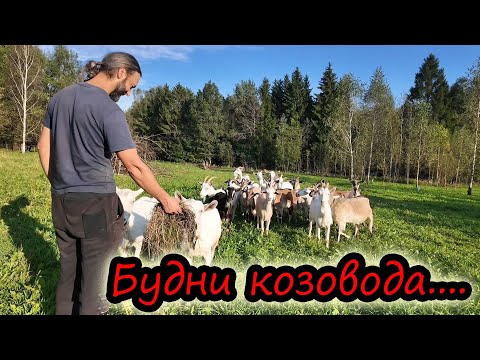Видео: Куда пропал Лёня? // Что нового // Как живется в деревне одному // Будни козовода // ХУТОР У ЛЯВОНА