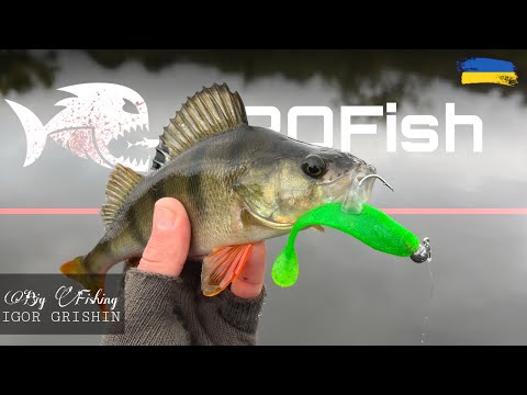 Видео: Ловля щуки й окуня восени | Перевіряю приманки Pro Fish