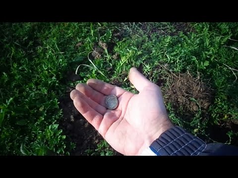 Видео: Поиск сокровищ с металлоискателем "ПИРАТ". Первый коп.