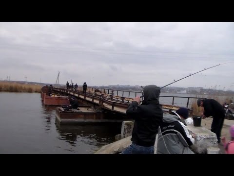 Видео: Рыбалка под мостом.