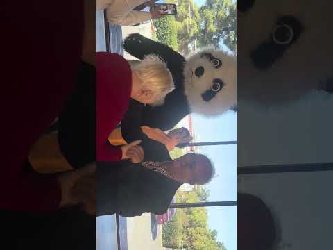 Видео: 9 ноября 2025 г.