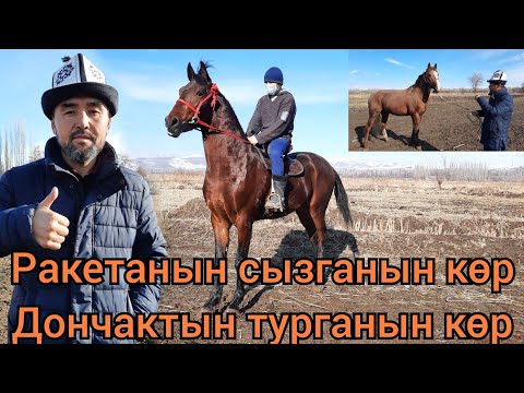 Видео: саяпкер баарын бир күндө сатты