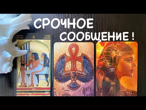 Видео: Таро❤️‍🔥Вам СРОЧНОЕ сообщение !