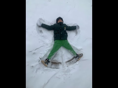 Видео: концерт 2025