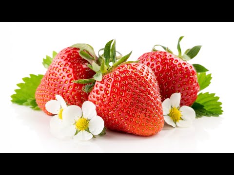 Видео: СИФАТЛИ ВА ХОСИЛДОР АЛБА СОТУВДА. #agro #alba #biznes #strawberry #mega #food 
