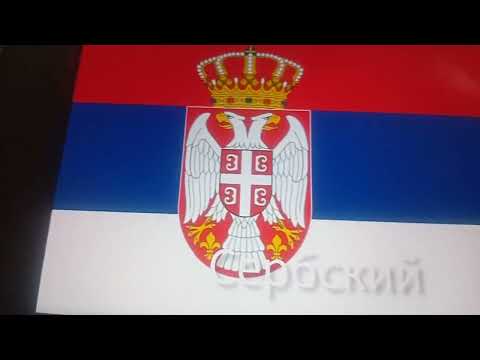 Видео: 15 августа 2025 г.