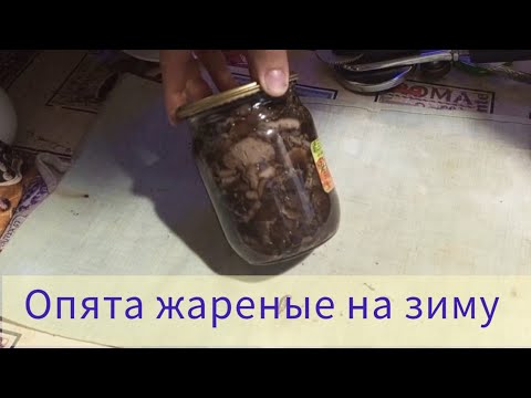 Видео: Опята ЖАРЕНЫЕ на зиму