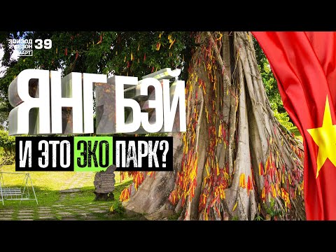 Видео: НЯЧАНГ. ЭКСКУРСИЯ В ЯНГ БЭЙ. ВОДОПАД. МИНЕРАЛЬНЫЕ ГОРЯЧИЕ ИСТОЧНИКИ. ЗООПАРК. ДЕРЕВО ЖЕЛАНИЙ.