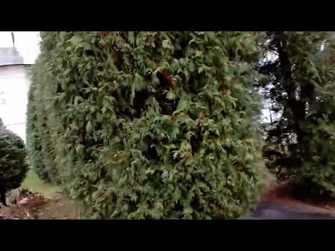 Видео: В субботу, 01.11.25