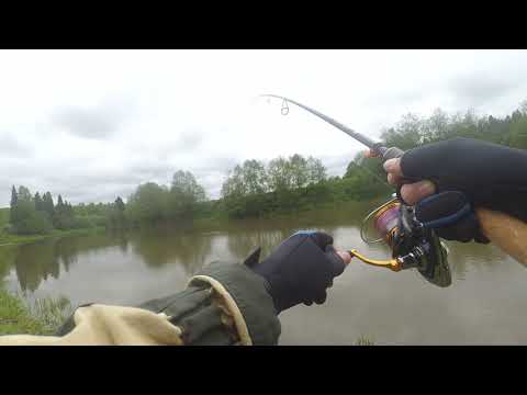 Видео: Imakatsu Riprizer 90 F, Black Hole Swift 682MH. Рыбалка. Щука