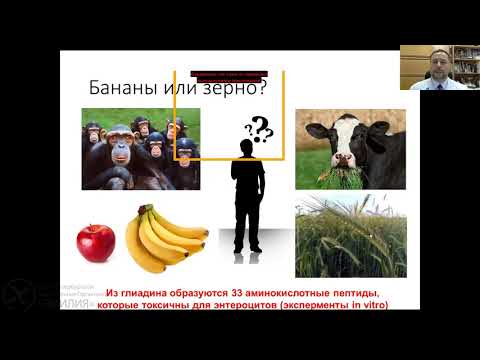 Видео: Генетическая диагностика целиакии