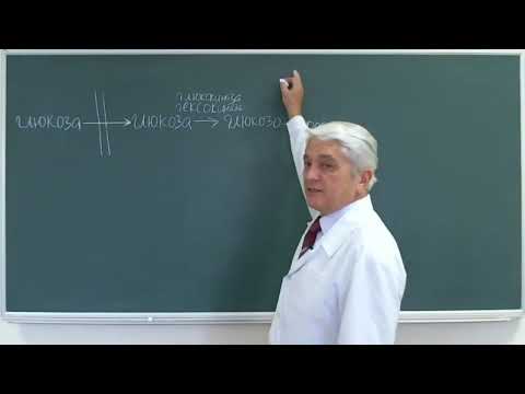 Видео: 12:00 Интеграция обменов углеводов липидов белков