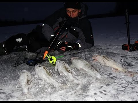 Видео: [Судак на вибы]. Сезон 2023. Первая вылазка. Новая удочка Chilly Ray.