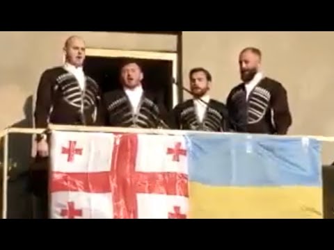 Видео: Дякуємо за підтримку Грузинському народу. ❤️🇺🇦 Тримаймося друзі. Ой у лузі червона калина. #зоотроп