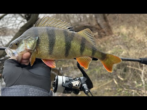 Видео: ЗИМОВА РИБАЛКА Зимова приманка НА окуня! краще ніж спінінг мікроджиг!