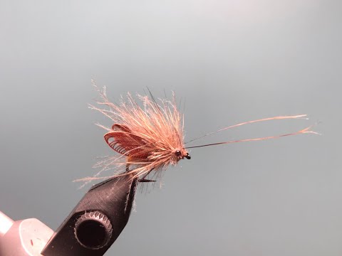 Видео: Сухая мушка Ручейник/Caddis Как связать от GM FLY