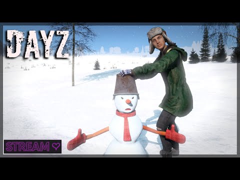 Видео: DAYZ / PERVAK / ЗИМУШКА