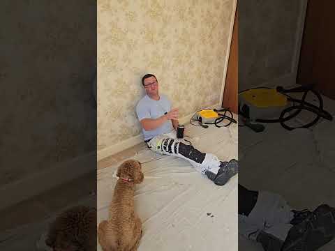 Видео: Как снять обои со стены