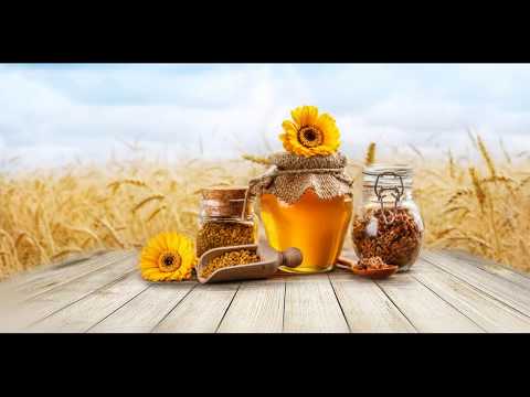 Видео: Осенний слёт пчёл, закормка пчёл сахаром в зиму и другие проблемы в пчеловодстве.