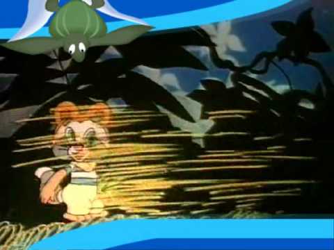 Видео: Крошка Енот