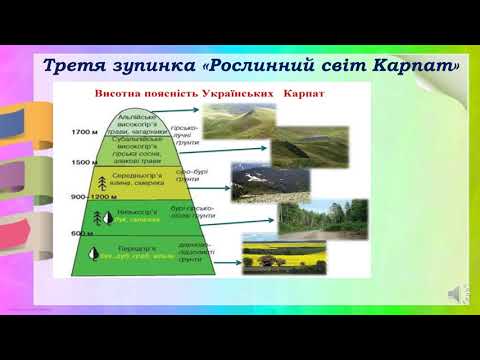 Видео: Природознавство  4 клас  Гори Карпати