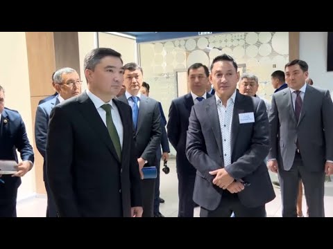 Видео: Үкімет басшысы Шымкенттің өндірістік кәсіпорындарын аралады