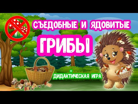 Видео: Съедобные и Ядовитые ГРИБЫ для детей Дидактическая игра