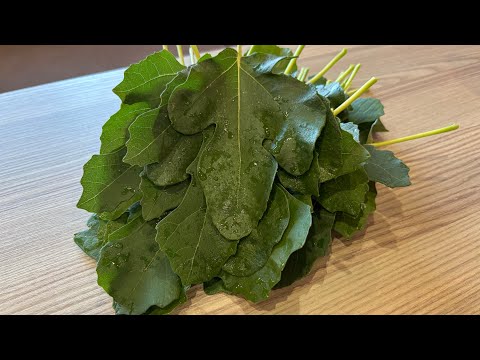 Видео: Сироп от смокинови листа