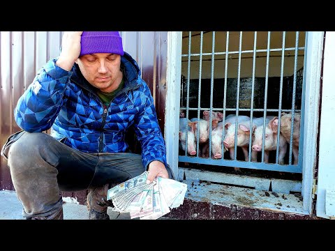 Видео: ПРОДАВ ТЮЛЬПАНА,один як два по 160кг затянув по грошам....