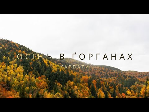 Видео: Осінь в Карпатах, похід на г. Синячка та г.Синяк, малолюдний маршрут в Ґоргани