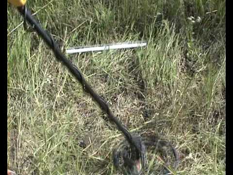 Видео: Тест Фишер Ф2 и катушка NEL