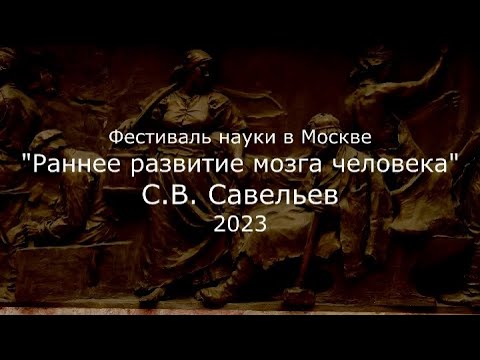 Видео: С.В. Савельев - Раннее развитие мозга человека