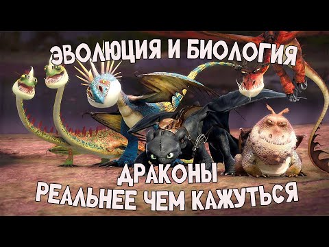 Видео: РЕАЛЬНАЯ ЭВОЛЮЦИЯ И БИОЛОГИЯ ДРАКОНОВ / Драконы из "Как приручить дракона"