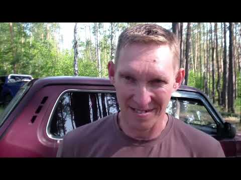 Видео: Воронежская выставка собак 2025