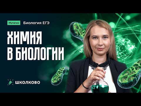 Видео: Химия в биологии | Подготовка к ЕГЭ 2026 по биологии