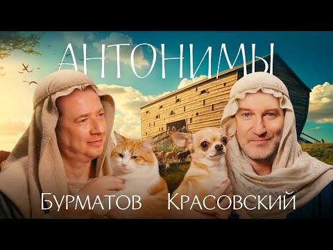 Видео: Владимир Бурматов: не бывает опасных собак, бывают опасные хозяева