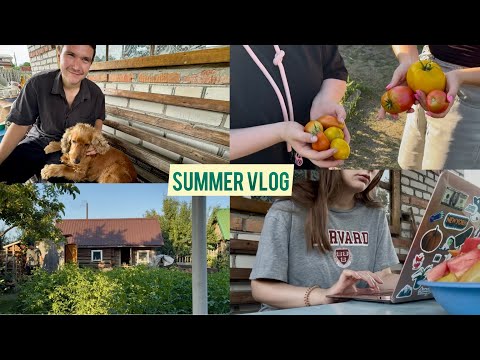 Видео: летний расслабляющий влог с дачи, который заменит поход к психологу