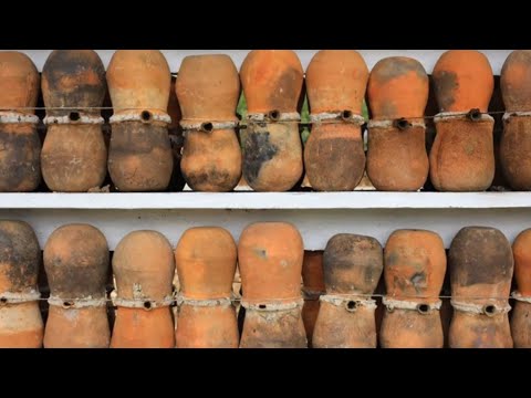 Видео: Традиционные ульи по всему миру