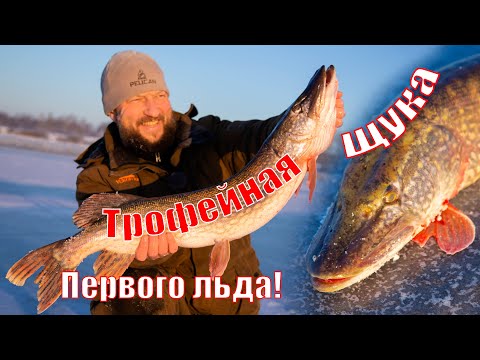 Видео: Огромная щука первого льда!