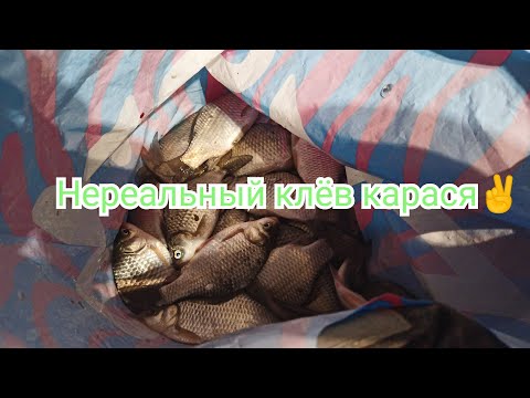 Видео: Озеро Салтаим. Омская область 26 февраля 2022.Зимняя рыбалка на карася.  👍часть 1