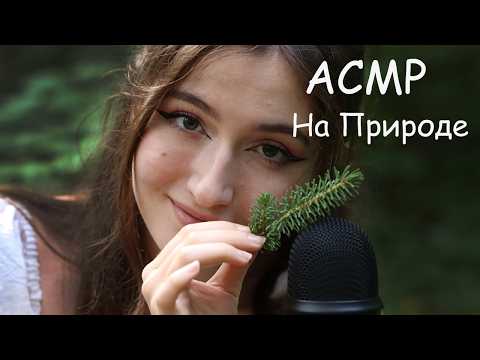 Видео: АСМР В ЛЕСУ | засыпай под звуки природы #асмр