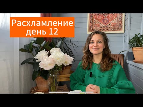 Видео: Большое расхламление день 12