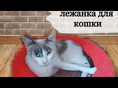Видео: Лежанка для кошки из Alize Puffy Fine
